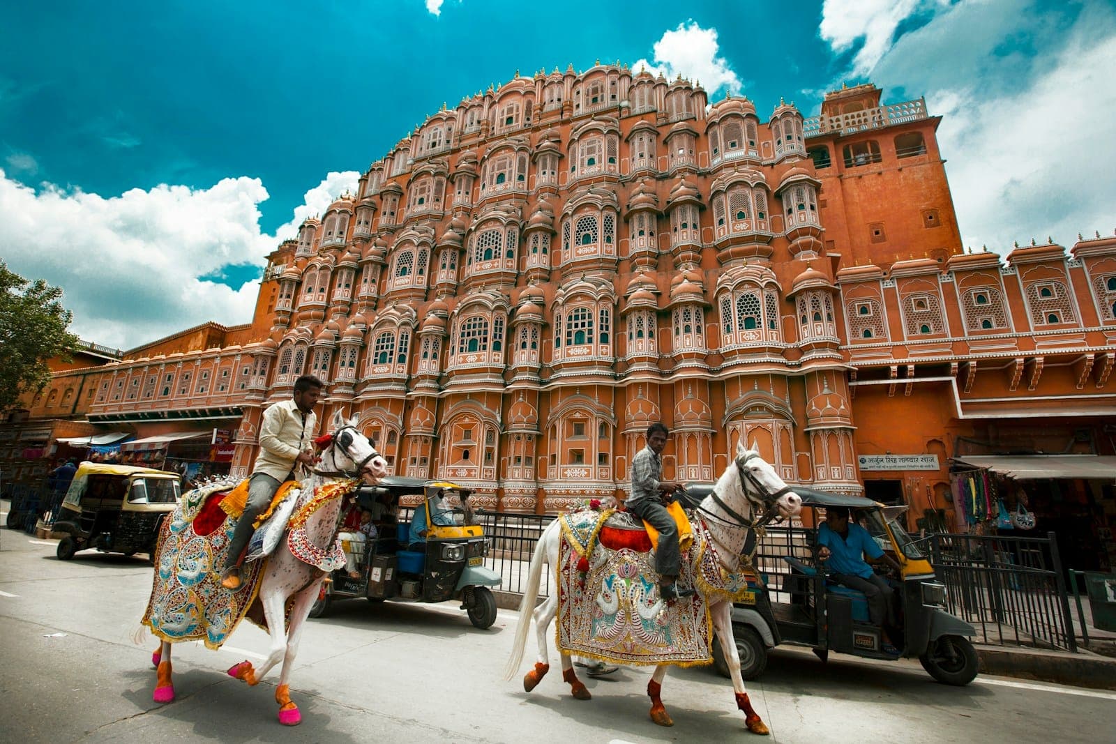 Domestic Tours