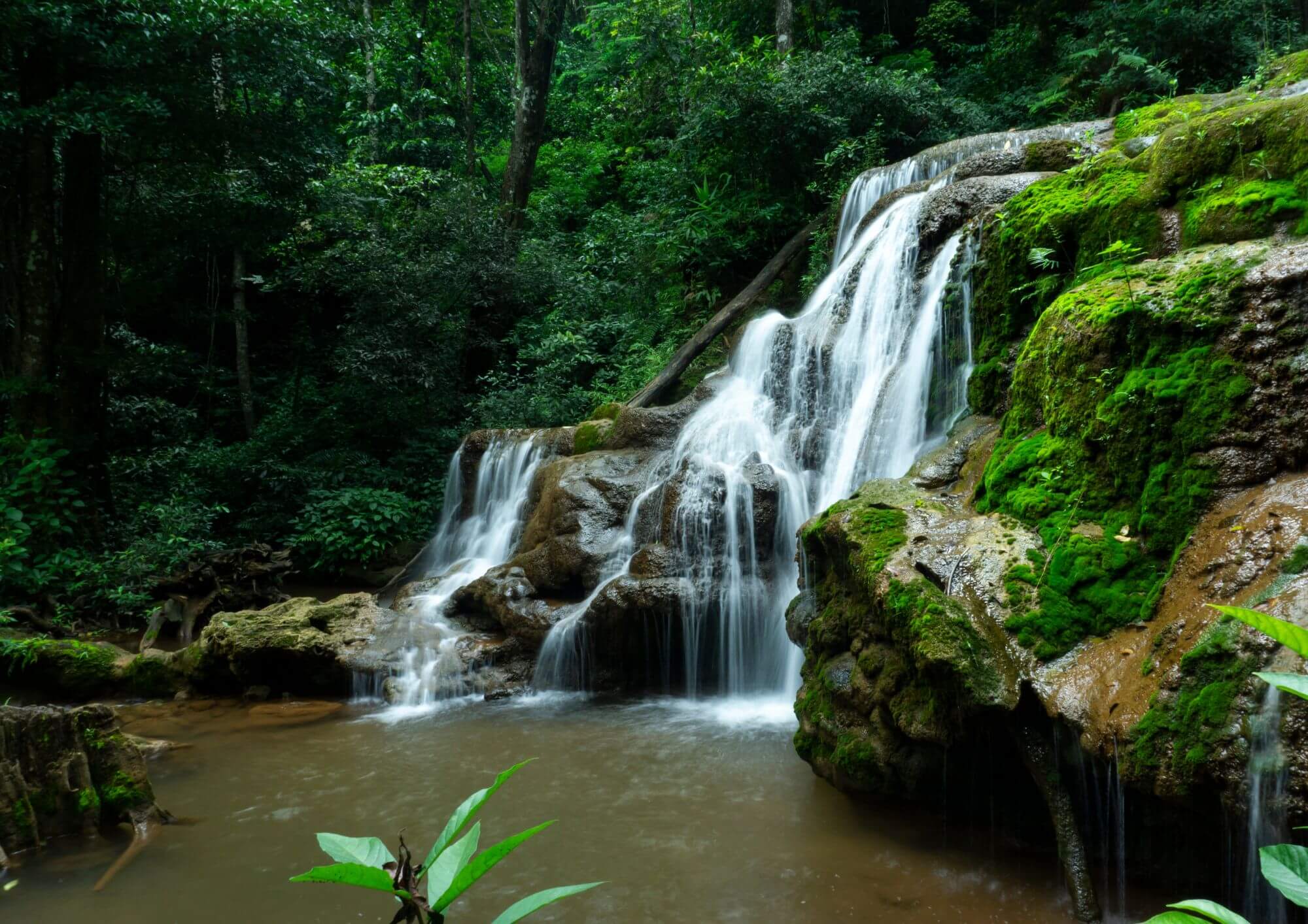 Monsoon Magic with India’s Most Stunning Waterfalls