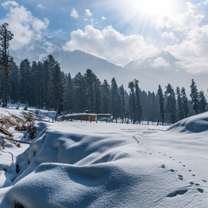 Kashmir Group Tour Packages